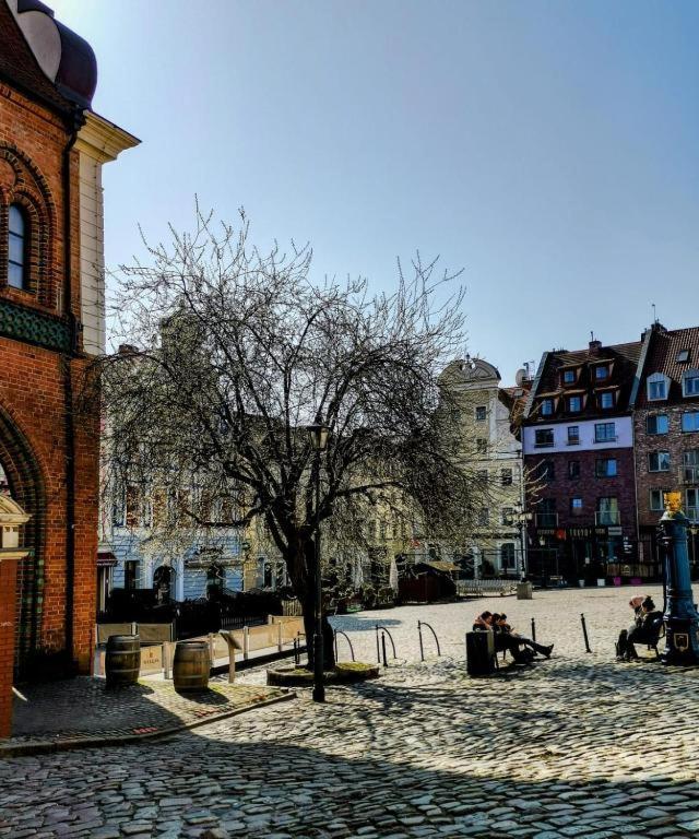 5000 Rynek Sienny Stare Bulwary No 1 Apartamento
